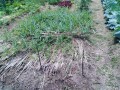 IMG_20260610_120924