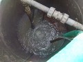 IMG_20260611_081658
