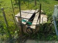 IMG_20260611_081703