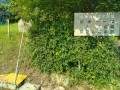 IMG_20260611_081710