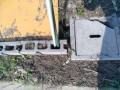 IMG_20260611_081715