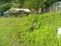 IMG_20260611_081810