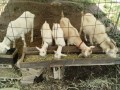 IMG_20260611_083758