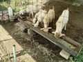 IMG_20260611_083806