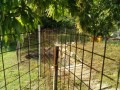 IMG_20260611_083837