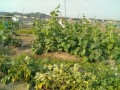 IMG_20260611_171642