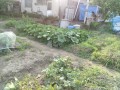 IMG_20260611_171644
