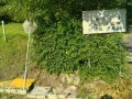 IMG_20260612_073655
