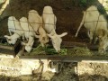 IMG_20260612_073939