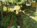 IMG_20260612_073956