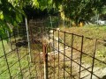 IMG_20260612_074045