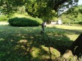 IMG_20260612_081611