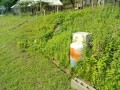 IMG_20260613_080518