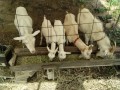 IMG_20260613_080732