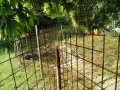 IMG_20260613_080819