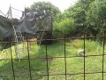 IMG_20260613_080822
