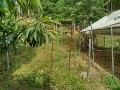IMG_20260613_080831