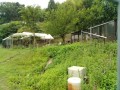 IMG_20260614_111520
