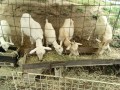 IMG_20260614_111853