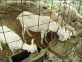 IMG_20260614_111912