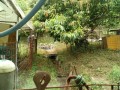 IMG_20260614_111916