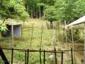 IMG_20260614_111938