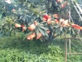 IMG_20260614_112904