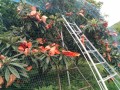 IMG_20260614_112908