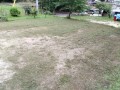 IMG_20260614_175740
