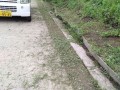 IMG_20260614_175850