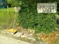 IMG_20260615_080155