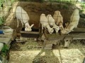 IMG_20260615_080810