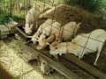 IMG_20260615_080817
