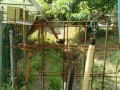 IMG_20260615_080835