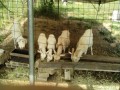 IMG_20260615_080845