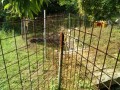 IMG_20260615_080902