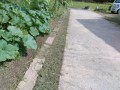 IMG_20260615_082156