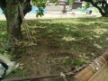 IMG_20260615_095105