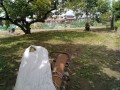 IMG_20260615_095108