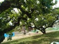 IMG_20260615_095110