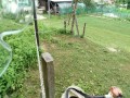 IMG_20260615_174854