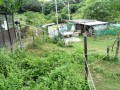 IMG_20260615_174859