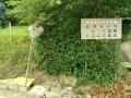 IMG_20260616_080233