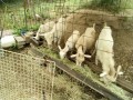 IMG_20260616_082559