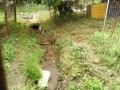 IMG_20260616_082616