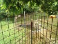 IMG_20260616_082642