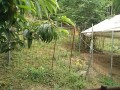IMG_20260616_082651