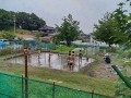 IMG_20260616_095348