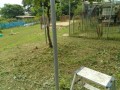IMG_20260616_105107