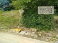 IMG_20260617_083259